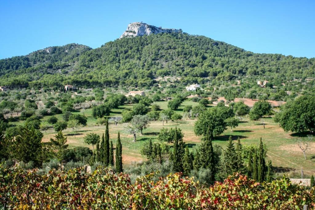 Es Castell De Ca N'Alou De Ses Cases Noves S'Horta Kültér fotó